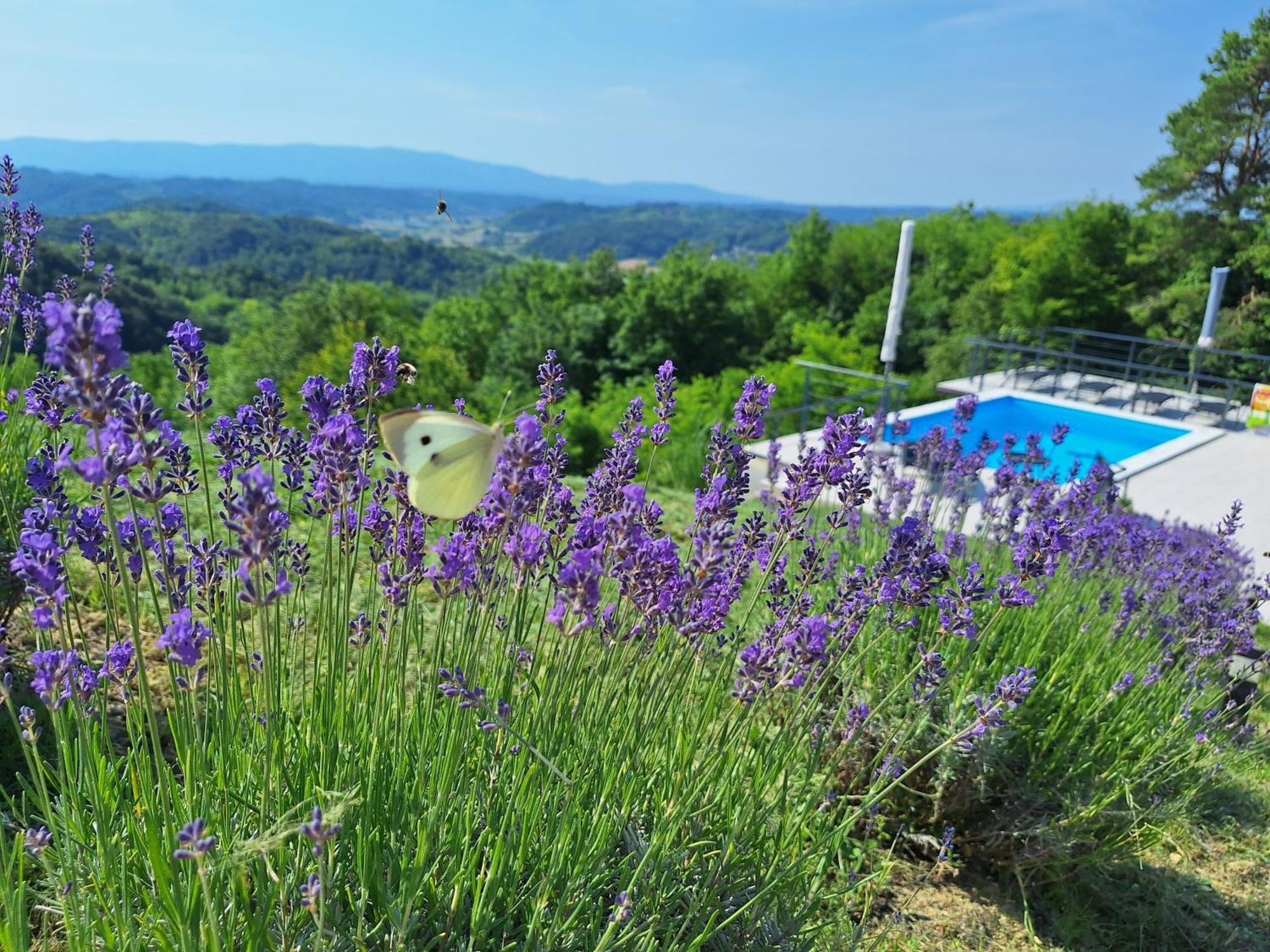 Kuca Za Odmor Freya Villa Krapinske Toplice Luaran gambar
